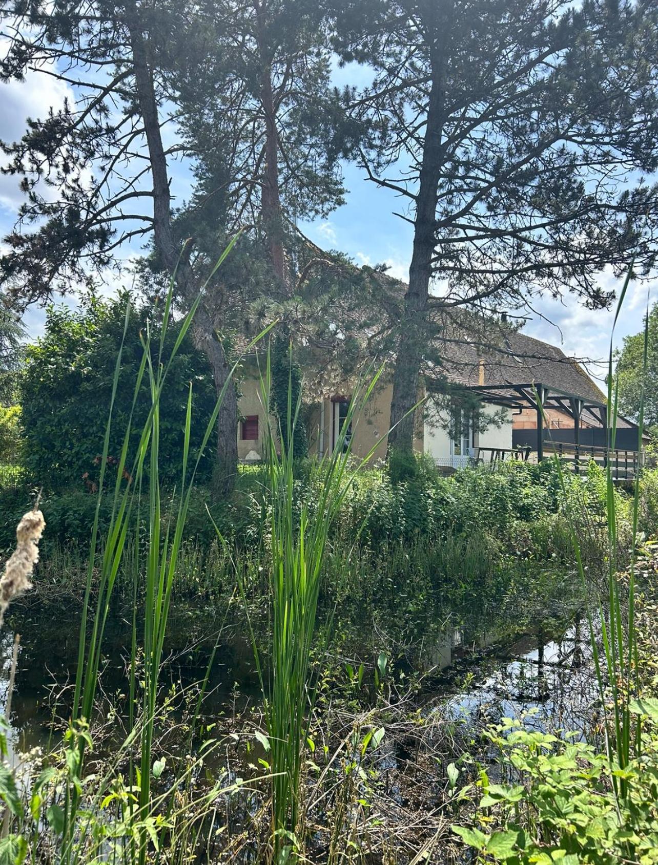 Le Gite Du Chateau Mouton Chatenoy-le-Royal Exteriör bild